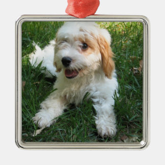 Adorno Metálico Foto de perro personalizado