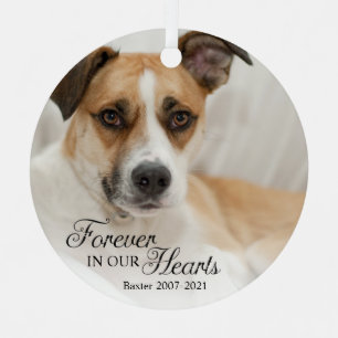 Adorno Metálico Foto de Perro por Siempre en Nuestros Corazones