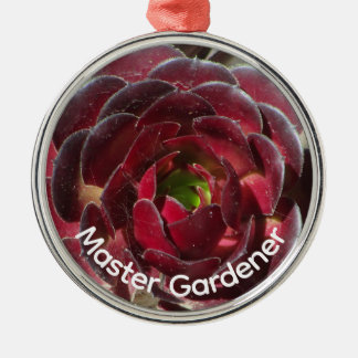 Adorno Metálico Foto de Suculenta del Desierto Master Gardener Nav