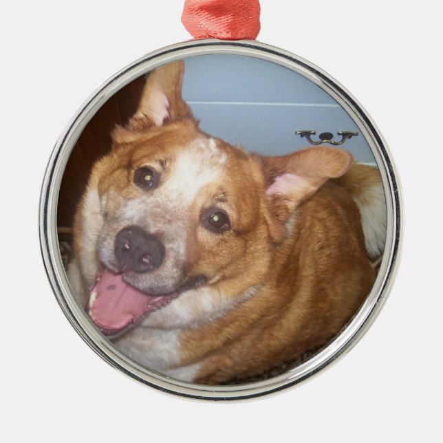 Adorno Metálico Foto de un perro feliz (Frente)