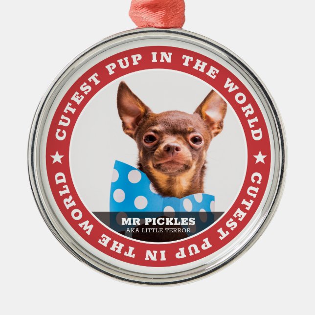 Adorno Metálico Foto del Mascota de Perros del Mundo de la "Cutest (Frente)