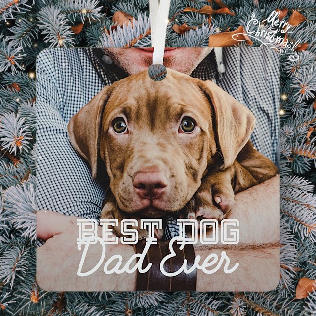 Adorno Metálico Foto del Mascota de Personalizado moderno de Best  (Subido por el creador)