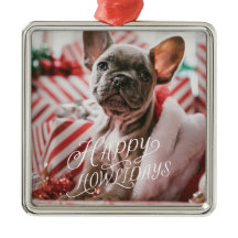 Foto feliz de perro de Howlidays