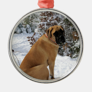 Adorno Metálico Foto inglesa actitud de la nieve" del perro del
