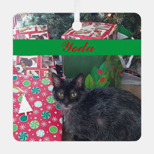 Adorno Metálico Foto Mascota personalizada Verde Rojo Simple