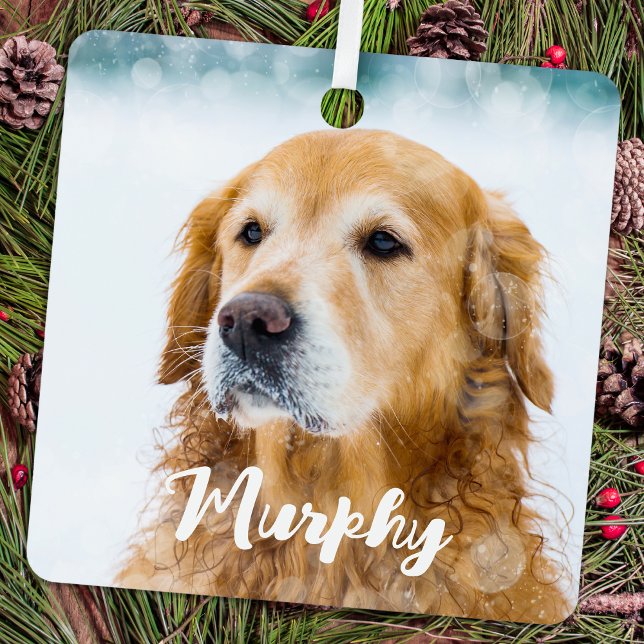 Adorno Metálico Foto moderna personalizada de mascotas, caprichosa (Subido por el creador)