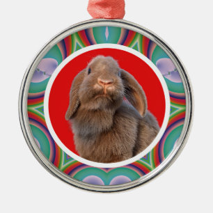 Adorno Metálico Foto personalizada de conejo Holland Lop con arte