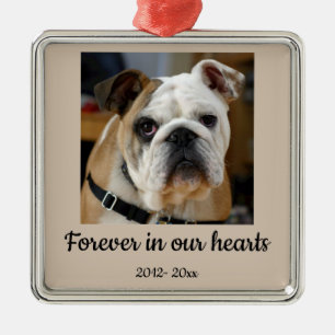 Adorno Metálico Foto personalizada fechada Bulldog Perro En Memori