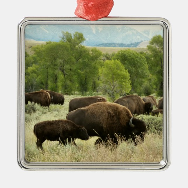 Adorno Metálico Fotografía de animales de la naturaleza de Wyoming (Frente)
