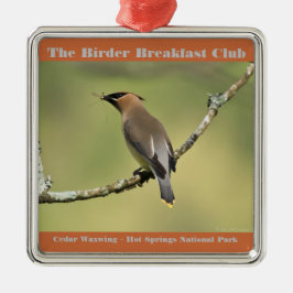 Adorno Metálico Fotografía de la Naturaleza Cedar Waxwing Birder