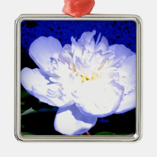 Adorno Metálico Fotografía de Peony en blanco y púrpura