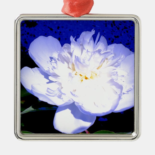 Adorno Metálico Fotografía de Peony en blanco y púrpura (Frente)