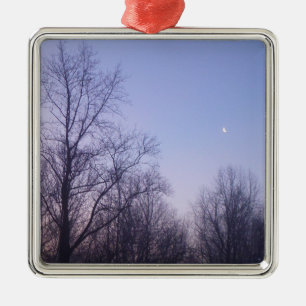 Adorno Metálico Fotografía paisajística de Winter Moon Morning