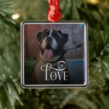 Fotomona de Mascotas de Perro Personalizadas Moder