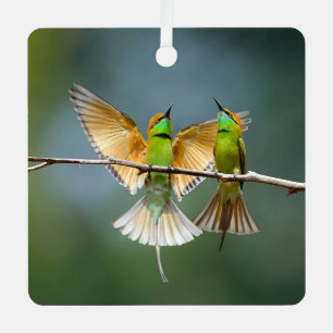 Adorno Metálico Fotos de pájaros verdes jugueteando en los árboles