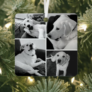 Adorno Metálico Fotos divertidas y lindas de perros en blanco y ne