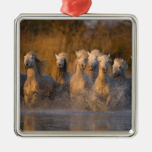 Adorno Metálico Francia, Provenza. Caballos blancos de Camargue