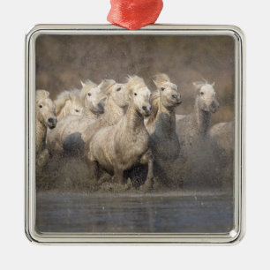 Adorno Metálico Francia, Provenza. Caballos blancos de Camargue co