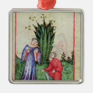 Adorno Metálico Fruta de Mandrake, from Tacuinum Sanitatis