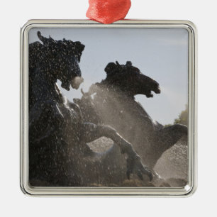 Adorno Metálico Fuente, Monumento de Girondins, Burdeos,