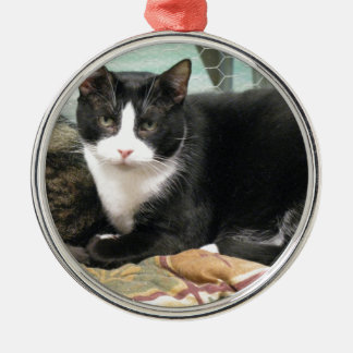 Adorno Metálico Galleta