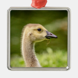 Adorno Metálico Ganso Canadiense (Gosling)