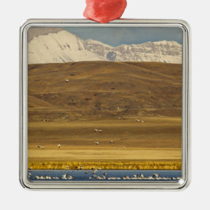 Adorno Metálico Gansos de nieve durante la migración primaveral