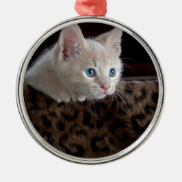 Adorno Metálico Gatito crema con hermosos ojos azules