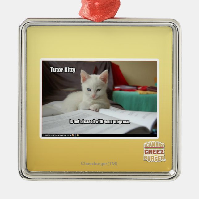 Adorno Metálico Gatito del profesor particular (Frente)