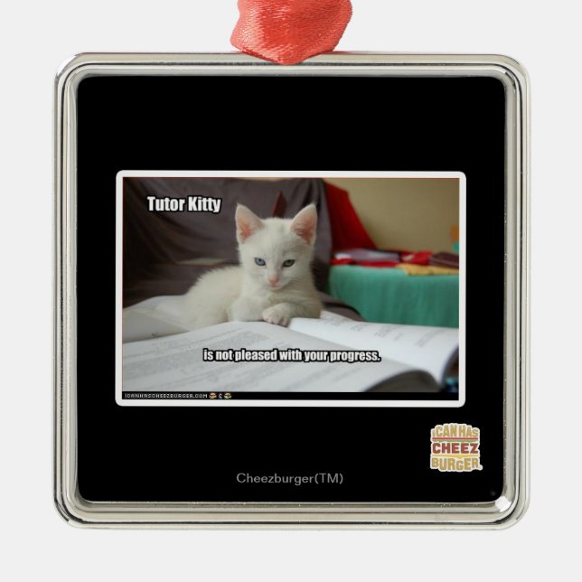 Adorno Metálico Gatito del profesor particular (Frente)