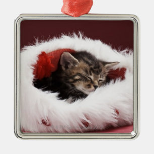 Adorno Metálico Gatito dormido en gorra del navidad