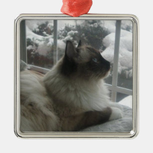 Adorno Metálico Gatito Himalayan Ornamen de la nieve del navidad