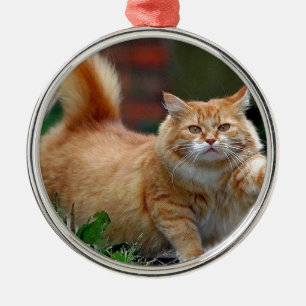 Adorno Metálico Gato anaranjado gordo grande