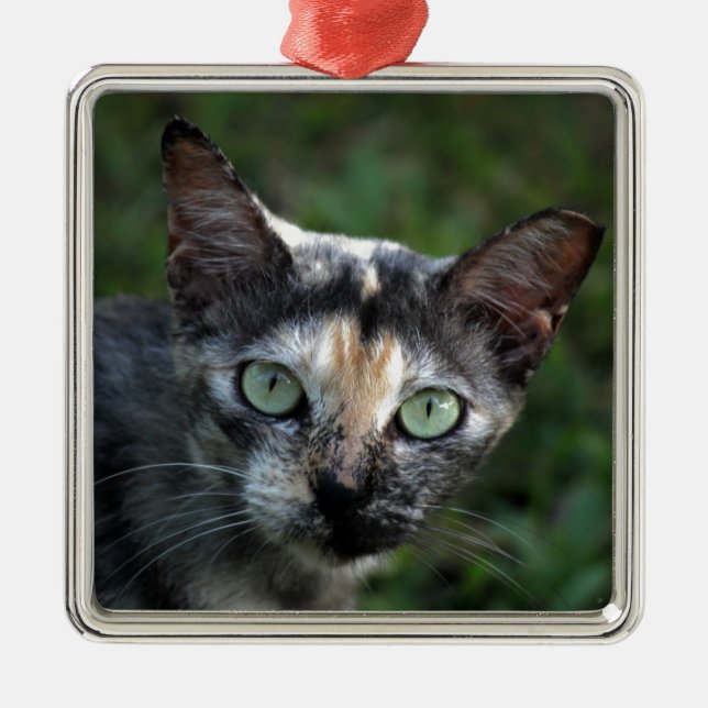 Adorno Metálico Gato blanco gris marrón con ojos verdes (Frente)