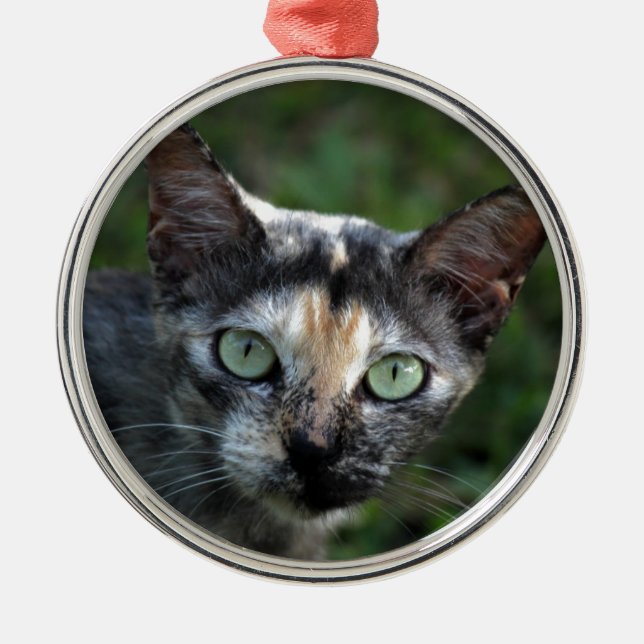 Adorno Metálico Gato blanco gris marrón con ojos verdes (Frente)