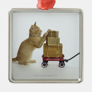 Adorno Metálico Gato con el carro y las cajas