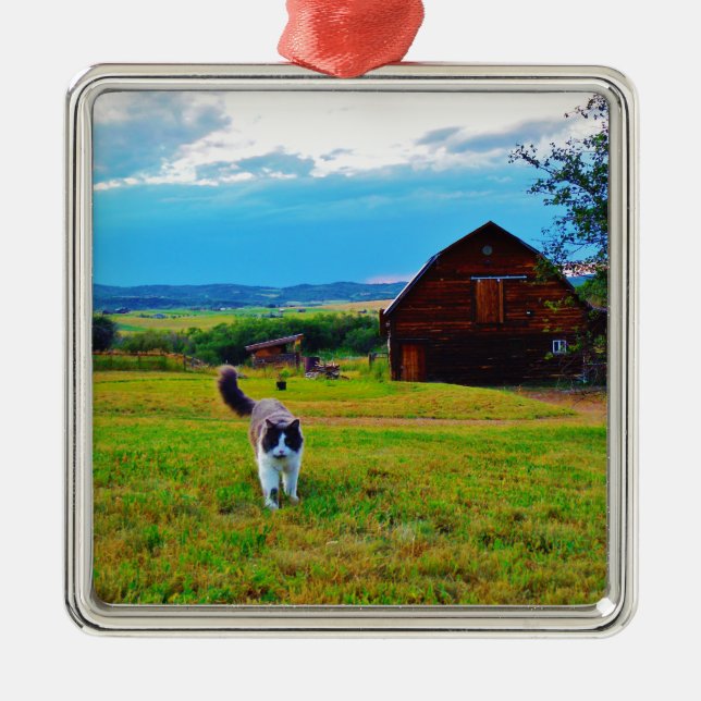 Adorno Metálico Gato con granos (Frente)