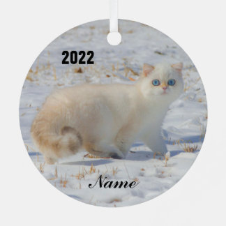 Adorno Metálico Gato de punto de llama con ojos azules en la nieve