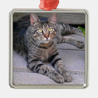 Adorno Metálico Gato de Tabby de Brown al aire libre