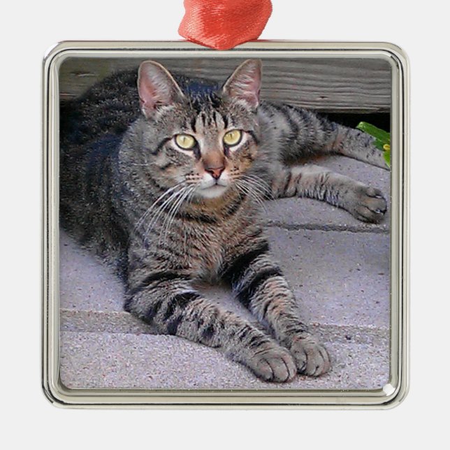 Adorno Metálico Gato de Tabby de Brown al aire libre (Frente)