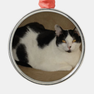 Adorno Metálico Gato en un sofá