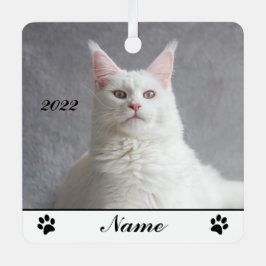 Adorno Metálico Gato Fluffy White Maine Personalizado