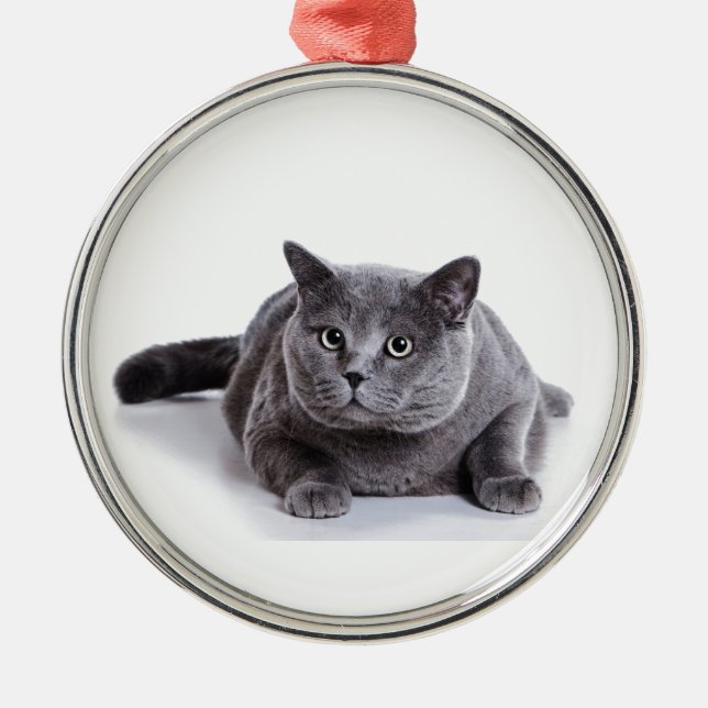 Adorno Metálico Gato gris (Frente)