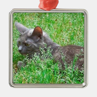 Adorno Metálico Gato gris de Tortie