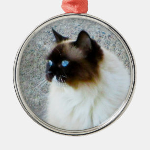 Adorno Metálico Gato Himalayan hermoso de Ragdoll Birman