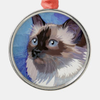 Gato Himalayan siamés de pelo largo