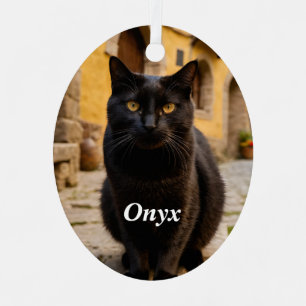 Adorno Metálico Gato negro personalizado