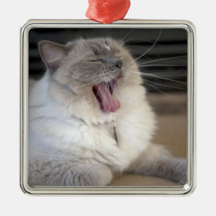 Adorno Metálico gato Neva Masquerade bostezando