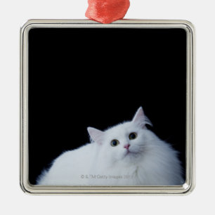 Adorno Metálico Gato siberiano