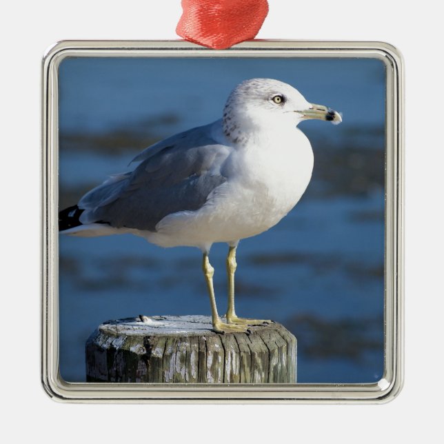 Adorno Metálico Gaviota (Frente)